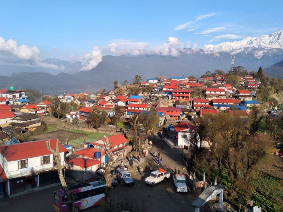 पर्यटकीय गाउँ काउलेपानीमा लालीगुराँस प्याकेज