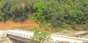 १२ करोड ५९ लाख लागतमा पुल निर्माण सम्पन्न