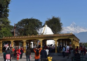 पोखराको विन्ध्यवासिनी मन्दिरमा नवदुर्गा महोत्सव हुदै