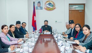 २०६२ यताका उच्च पदस्थको सम्पत्ति छानबिन गर्न आयोग गठन