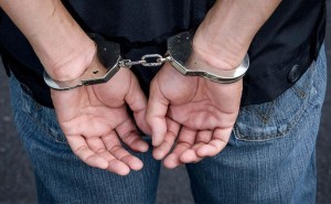 ५ बोरा अप्टिकल फाइबर चोरी गर्ने ५ जना पक्राउ