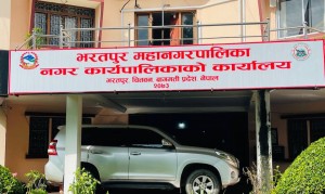भरतपुर महानगरमा दुई अर्बभन्दा बढीको क्षति, अत्यावश्यक काम आजैबाट सुरु