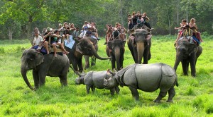 आजदेखि चितवन राष्ट्रिय निकुञ्जभित्र पर्यटकीय गतिविधि बन्द