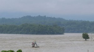नारायणी नदीले सतर्कता तह पार गर्यो