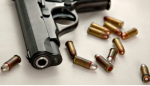 मनोहराको सुकुम्बासी बस्ती नजिक बेवारिसे अवस्थामा गोली फेला