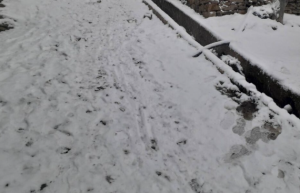 हुम्लामा हिमपातका कारण न्यालु सडक अवरुद्ध, हिउँ पन्छाउन चार दिन लाग्ने