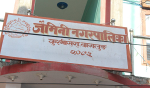 जैमिनी नगरपालिकाको नीति तथा कार्यक्रम: बाँदर बगैंचादेखि हरित विद्यालय निर्माणसम्मका कार्यक्रम