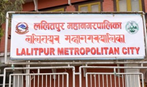 पोलमा विज्ञापनको पर्चा टाँस्ने कम्पनीलाई ललितपुर महानगरले तिरायो १० हजार जरिवाना