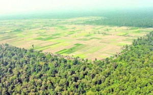 निजगढ विमानस्थल निर्माणबारे अध्ययन गर्न १० सदस्यीय विज्ञ टोली गठन