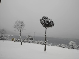 हिमपातले सुदूरपहाडका राजमार्ग र विद्युत् सेवा अवरुद्ध, जनजीवन प्रभावित