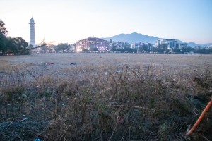 सैनिक मञ्चको दक्षिणतर्फको चौरमा वरमुढा ग्रास रोप्दै काठमाडौं महानगर