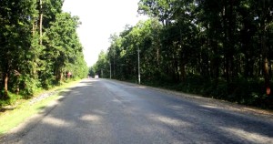 मदन भण्डारी राजमार्गअन्तर्गत झापा–सुनसरी खण्डको काम ४५ प्रतिशत मात्र
