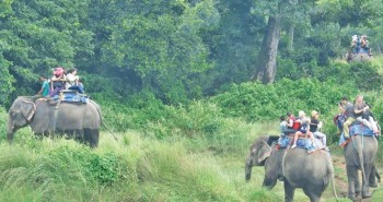 पर्यटक लोभ्याउन घाँसे मैदान विस्तार