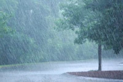 देशका अधिकांश स्थानमा आज वर्षाको सम्भावना