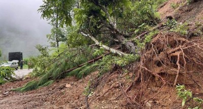 रुख ढलेर पूर्वपश्चिम राजमार्गको दाउन्ने खण्ड अवरुद्ध