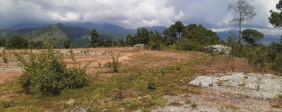 वनको जग्गामा परेपछि रोकियो शान्ति वाटिका निर्माण कार्य