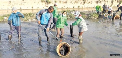 आज सफाइ भोलि उस्तै