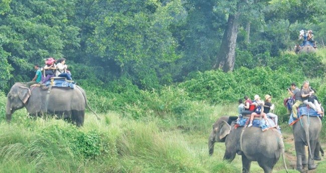 पर्यटक लोभ्याउन घाँसे मैदान विस्तार