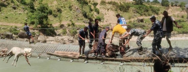 कर्णाली नदीमाथिको झोलुङ्गे पुलमा आवतजावत बन्द 