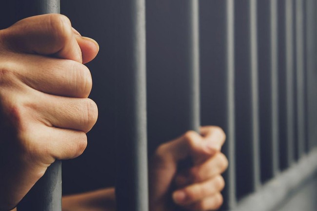 गुजरातमा सडकमा छाडा गाइबस्तु छाड्नेलाई ६ महिना जेल सजाय