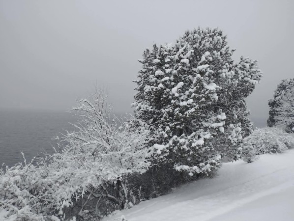 देशका पश्चिमी भू–भागमा हिमपात र वर्षा, मुगुमा हिउँ पन्छाउने चटारो