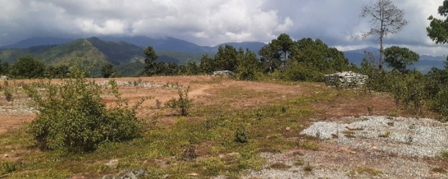 वनको जग्गामा परेपछि रोकियो शान्ति वाटिका निर्माण कार्य