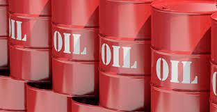 रुसी तेल भारतले युरोपमा बेच्यो, अब बन्द गर्नुपर्छः युरोपेली बिदेश प्रमुख
