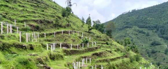 बैरेनी जग्गा विकास आयोजनाको भौतिक प्रगति अन्तिम चरणमा 