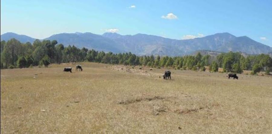 रोल्पाको बडाचौर विमानस्थल अलपत्र, स्थानीयका लागि बन्यो गौचरण र खेल मैदान