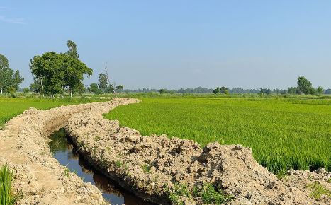 ३० वर्षपछि कुलो मर्मत, ३ हजार बिघामा सिँचाइ सुविधा