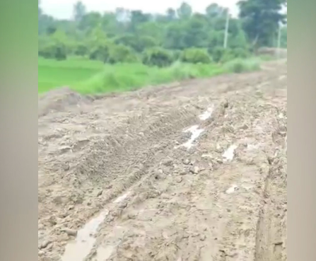 सडकको बेहाल : हिलोको पोखरी र खाल्डैखाल्डाले हिड्न सास्ती