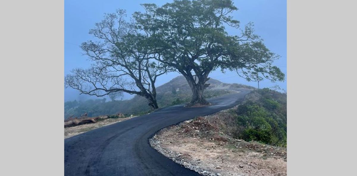 बीचको रुख छोडेर कालोपत्र गरिएको सडक भाइरल, दैनिक हजारौँ पर्यटकको आगमन