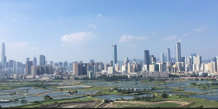 ‘जनकेन्द्रित स्मार्ट सहर’ नाराका साथ आज विश्व सहरीकरण दिवस मनाइँदै