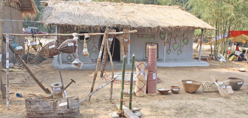 दनुवार सङ्ग्रहालय निर्माण अलपत्र