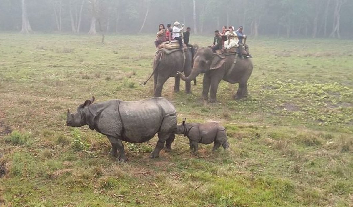 सौराहामा पर्यटकका लागि आकर्षक प्याकेज, के छन् विशेषता?