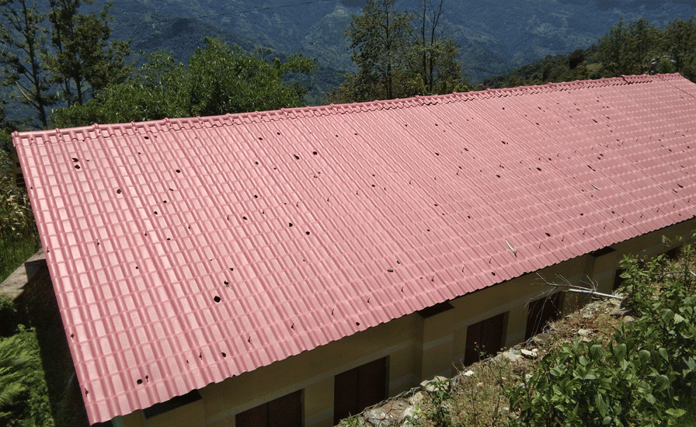 निर्माण भएको २ महिनामै विद्यालयको छानो भ्वाङ पर्यो, अख्तियारमा उजुरी